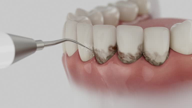 Reliable Dental contractor in Passapatanzy, VA by Dentist Open Now